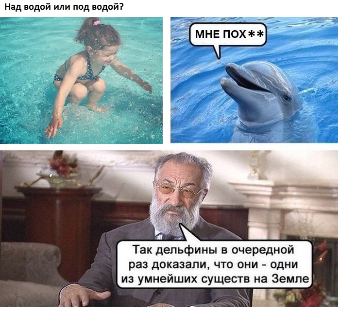 Порция картинок