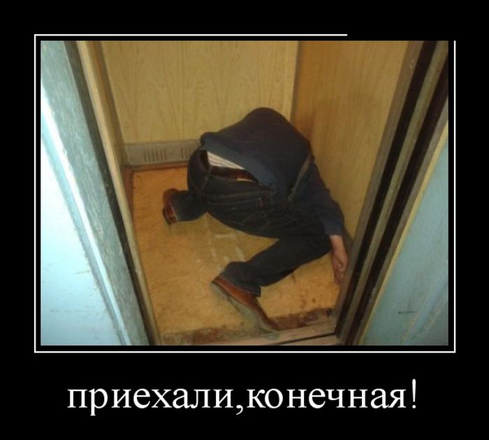 Демотиваторы