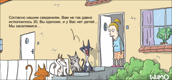 Забавные картинки
