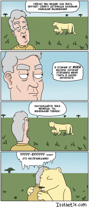 Забавные картинки