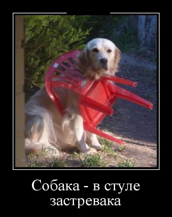 Демотиваторы
