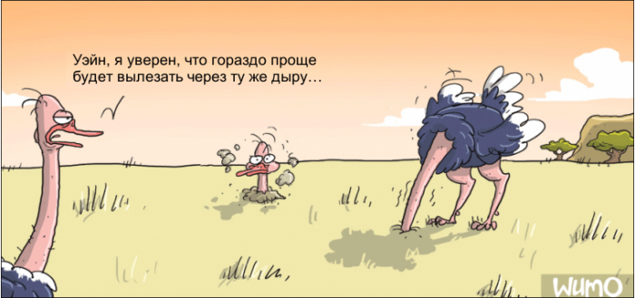 Порция картинок