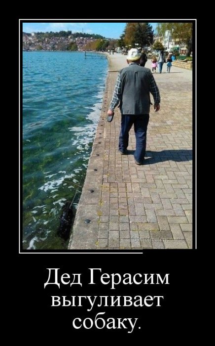 Демотиваторы