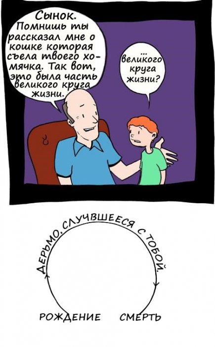 Забавные картинки