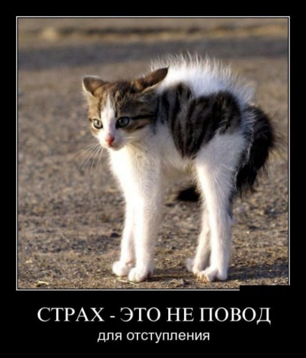 Демотиваторы