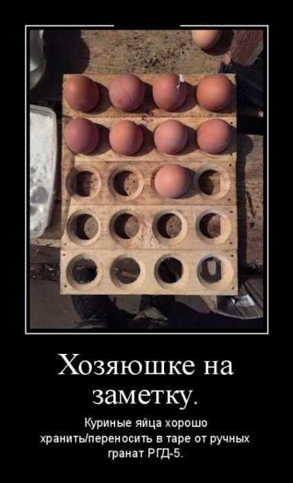 Демотиваторы