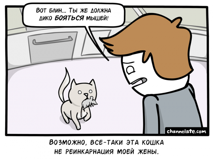 Порция картинок