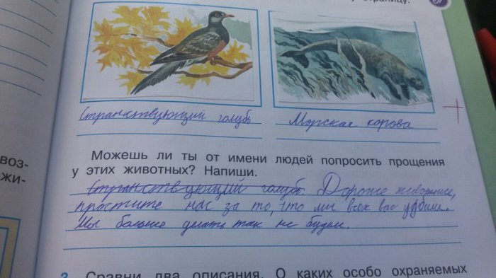 Забавные картинки