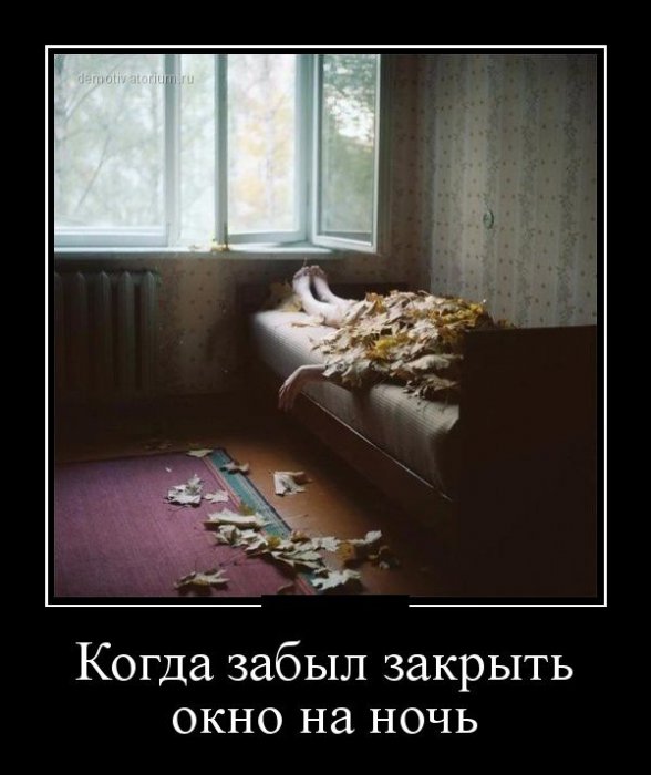 Демотиваторы