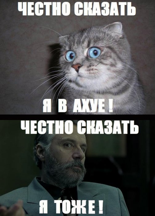 Порция картинок