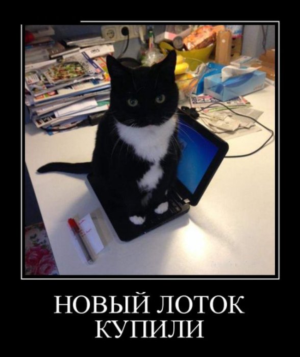 Демотиваторы
