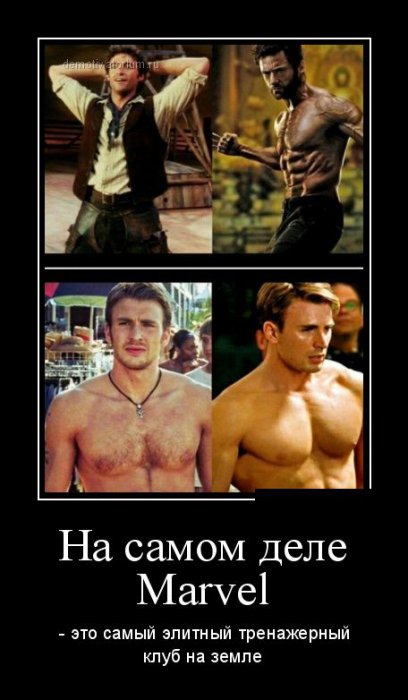 Демотиваторы