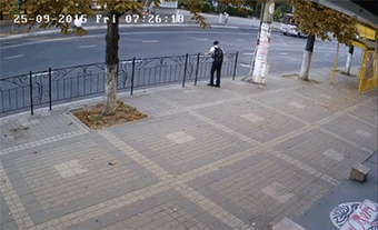 Порция картинок