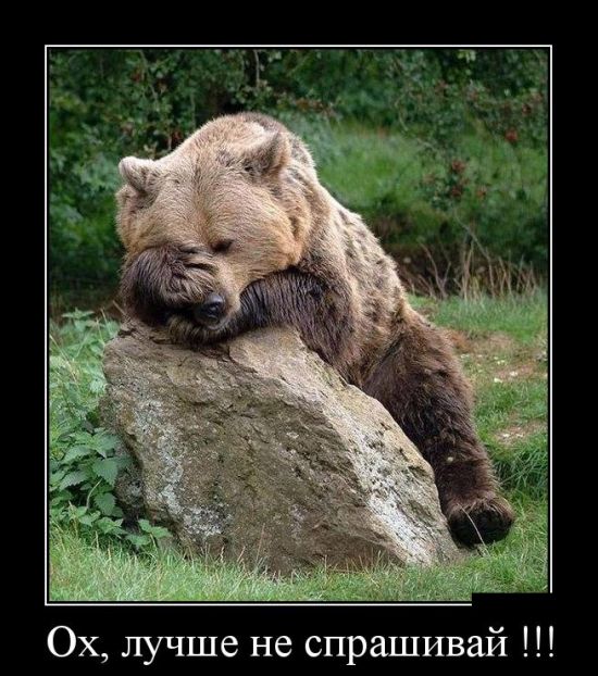 Демотиваторы