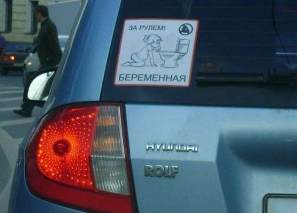 Порция картинок
