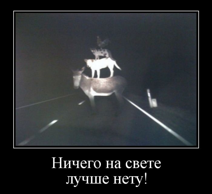 Демотиваторы