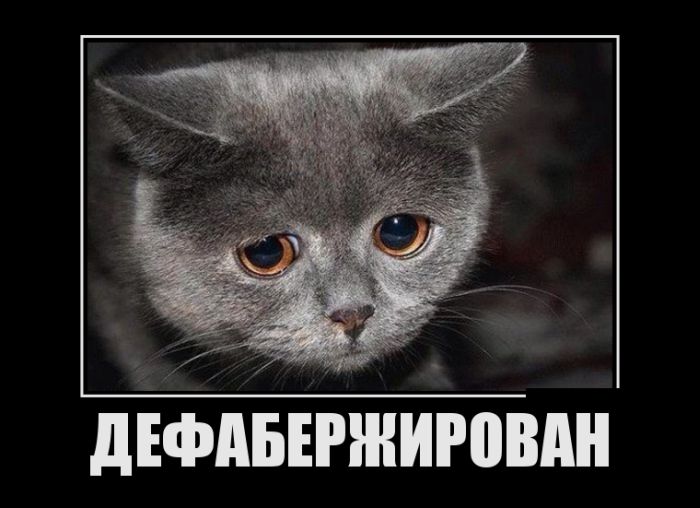 Демотиваторы