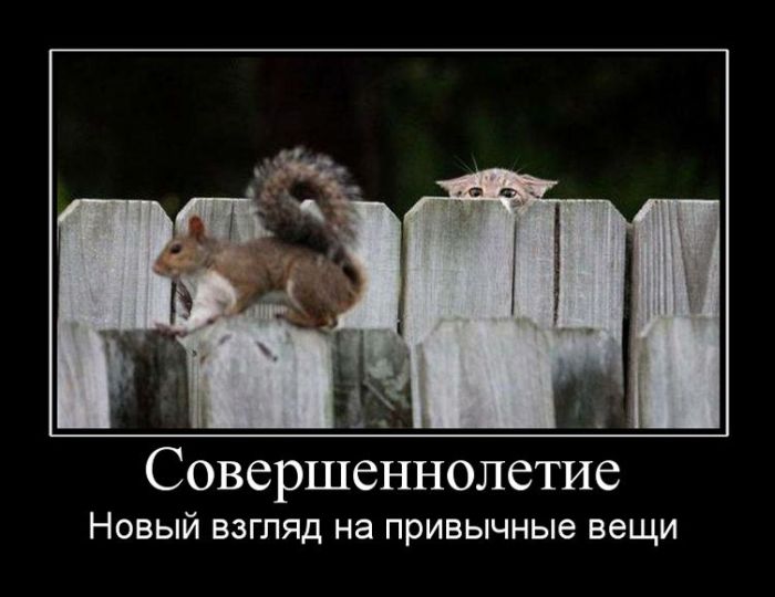 Демотиваторы