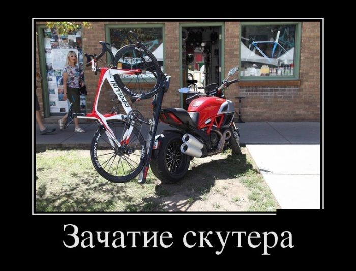 Демотиваторы