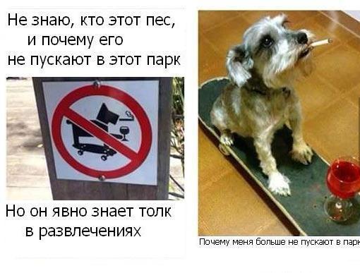 Забавные картинки