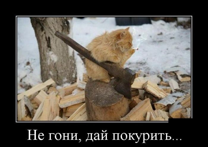 Демотиваторы