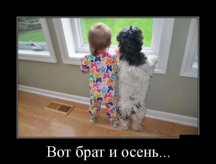 Демотиваторы