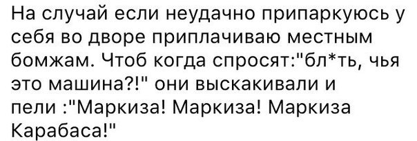 Порция картинок