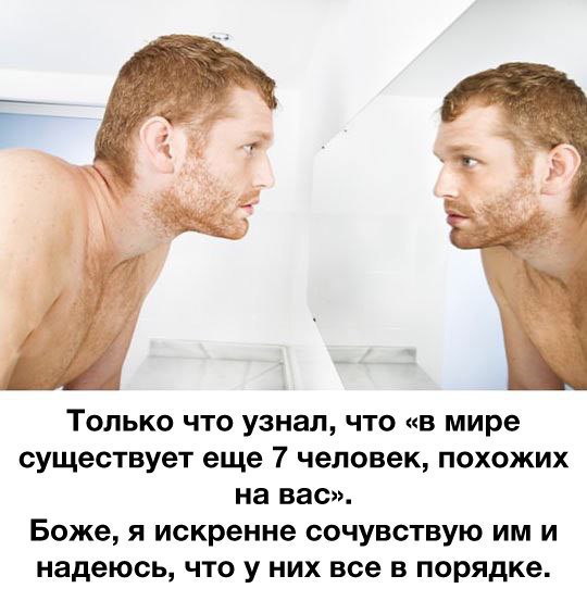 Порция картинок