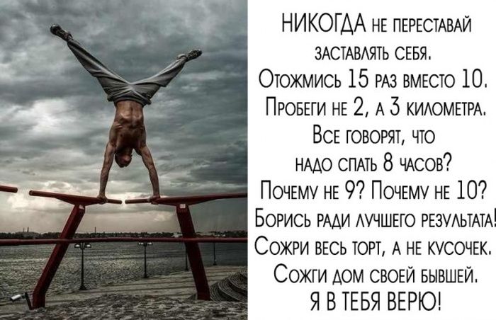 Порция картинок