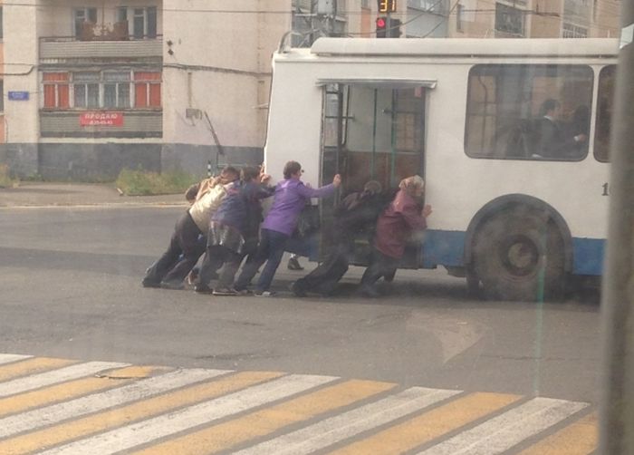 Порция картинок