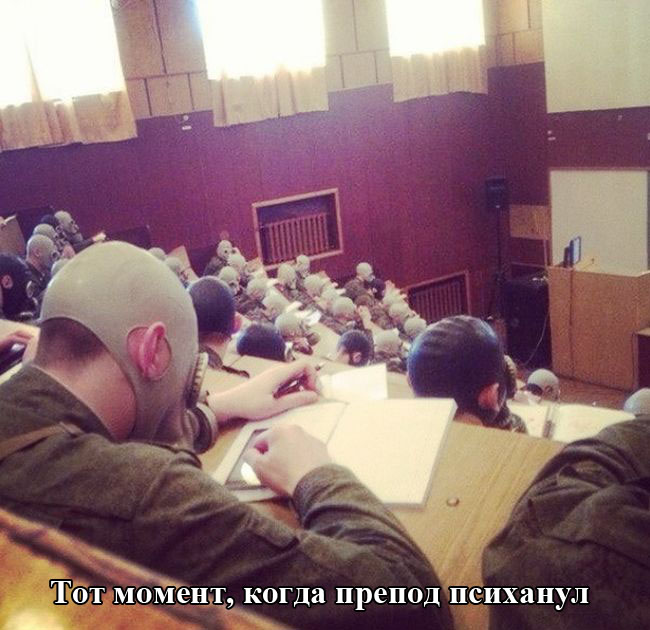 Порция картинок