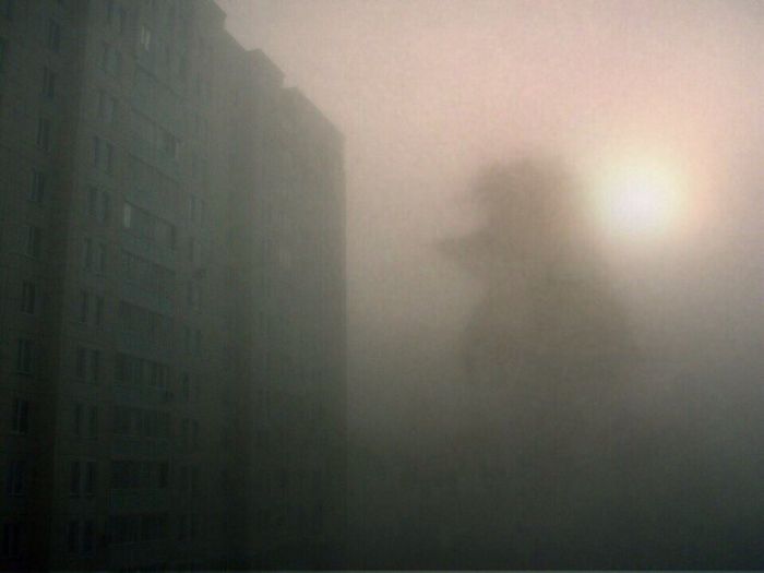 Порция картинок