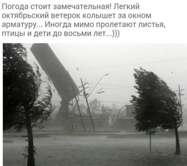 Порция картинок