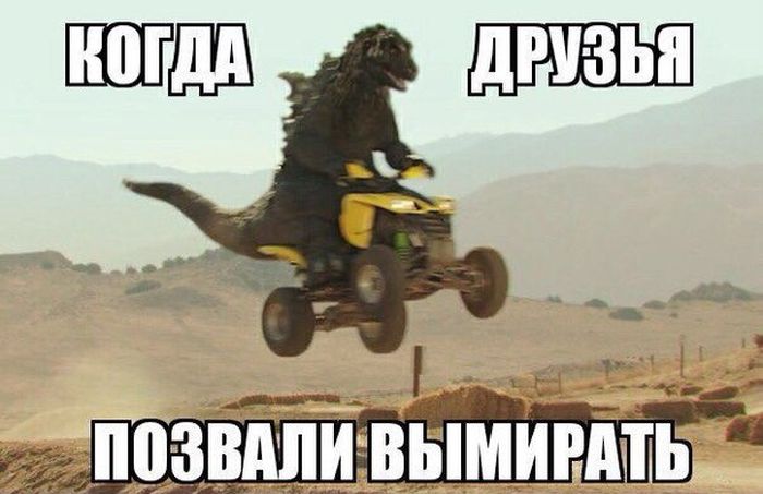 Порция картинок