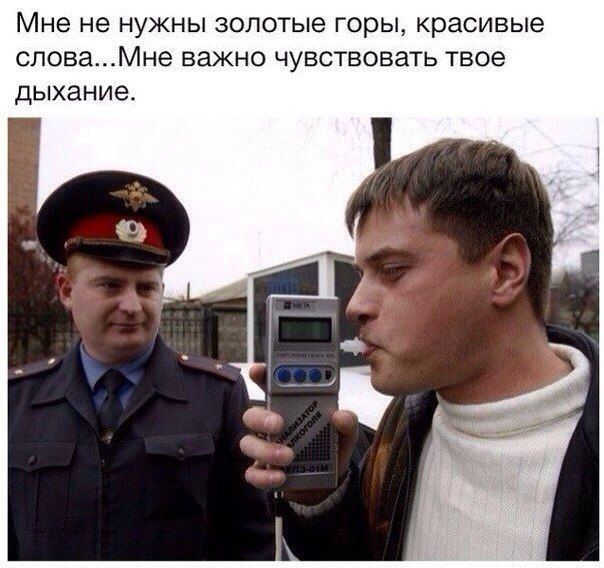 Порция картинок