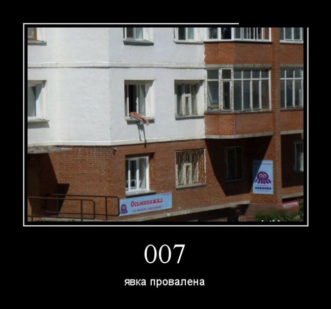 Демотиваторы