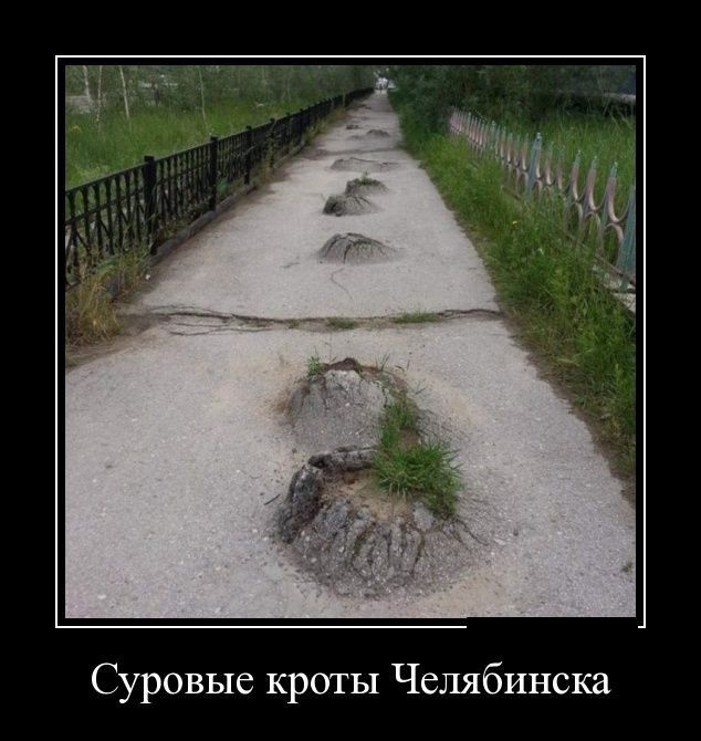 Демотиваторы