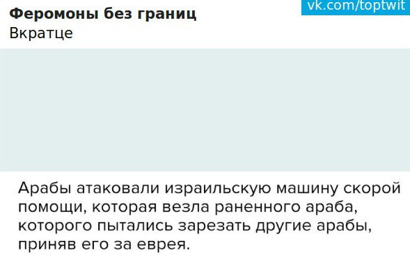 Порция картинок