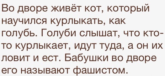 Порция картинок