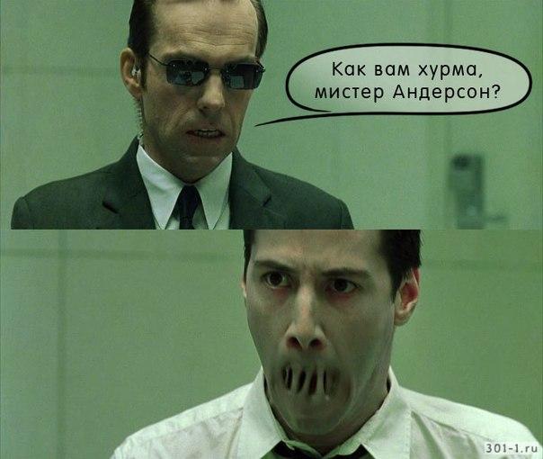 Порция картинок