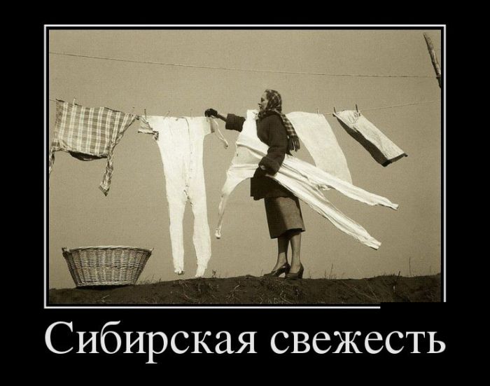 Демотиваторы