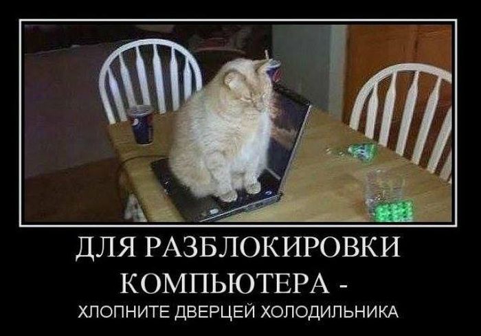 Демотиваторы