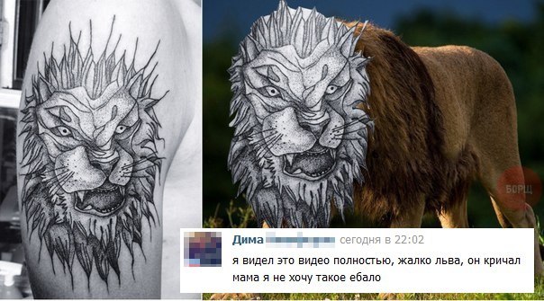 Забавные картинки