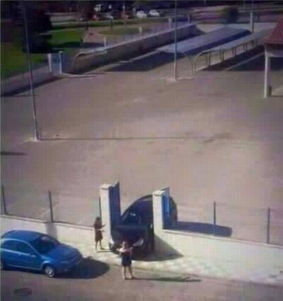 Порция картинок