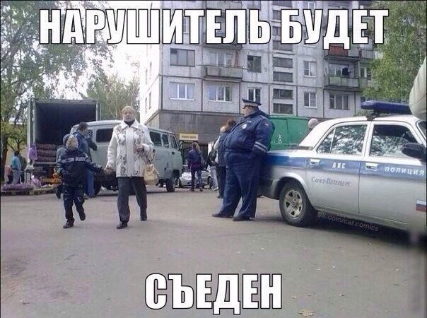 Авто-юмор