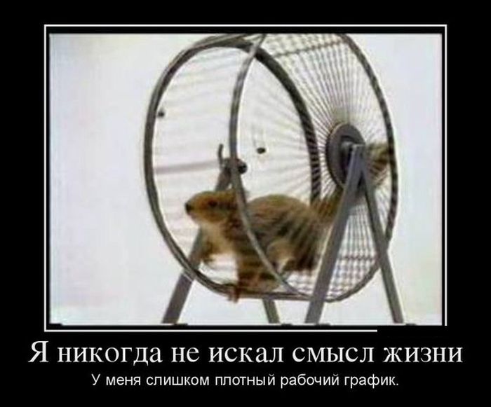 Демотиваторы