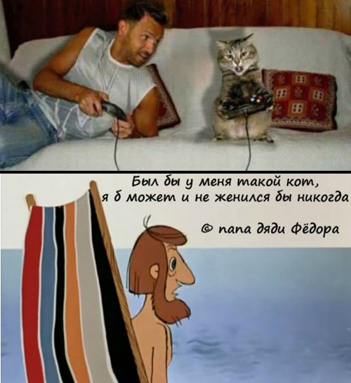 Забавные картинки