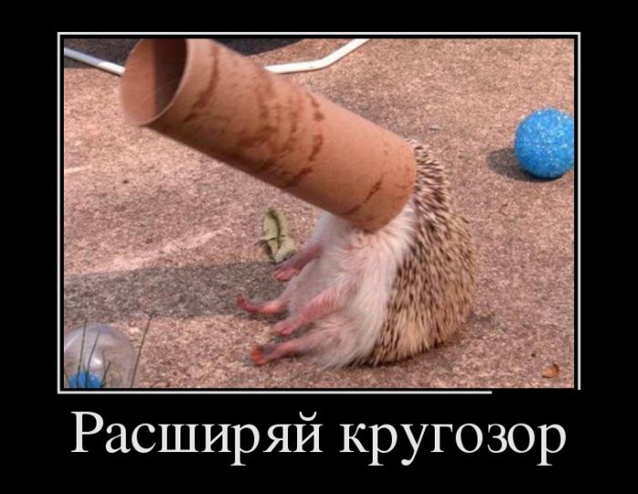 Демотиваторы