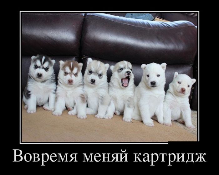 Демотиваторы