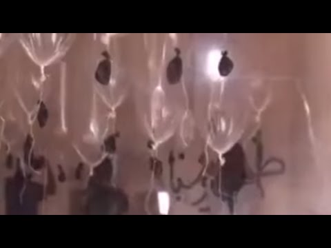 Кандомы и ПВО ИГИЛ